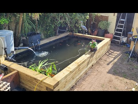 Видео: «Восстановление 40-летнего пруда, грандиозные открытия рыбы и постройка полноценного спящего пруд...