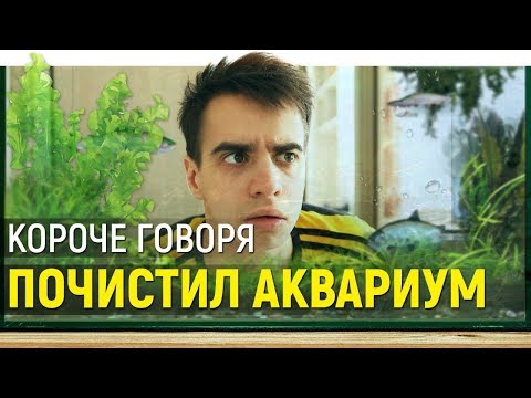 Видео: КОРОЧЕ ГОВОРЯ, ПОЧИСТИЛ АКВАРИУМ