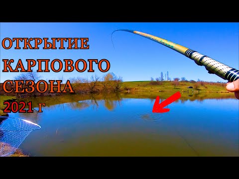 Видео: НОВАЯ!!! оснастка для ловли карпа! На ЧТО клюет КАРП ВЕСНОЙ Секреты рыбалки на карпа: ранняя весна.