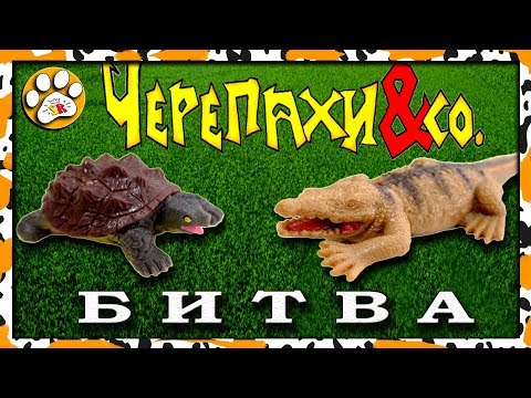 Видео: БИТВА ЧЕРЕПАХИ и КО Деагостини САМАЯ сильная ЧЕРЕПАХА