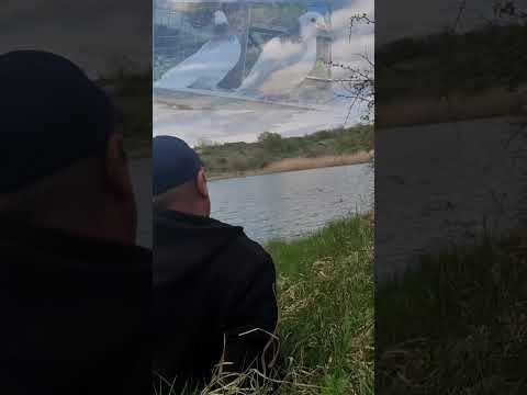 Видео: Серёга и голуби трек