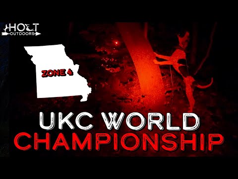 Видео: Зона 4 Чемпионата мира UKC | Конкурс Insider Coonhunting!