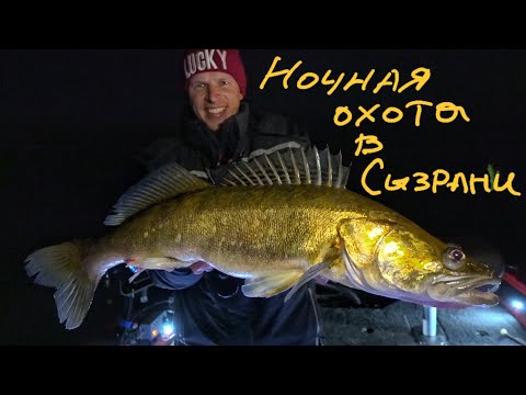 Видео: Как поймать трофей на Волге осенью.