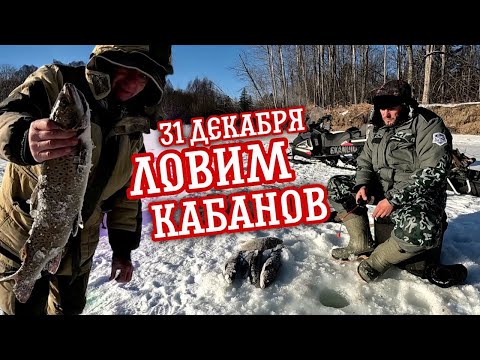 Видео: Зимняя Горная Рыбалка-Ленки Кабаны!