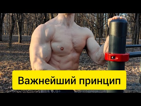 Видео: Самая важная информация для натурального атлета! Никак без этого