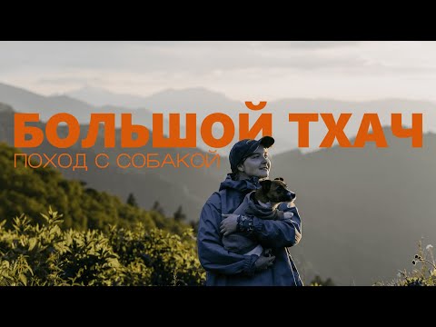 Видео: 6 ДНЕЙ В ГОРАХ С СОБАКОЙ | поход к Большому Тхачу
