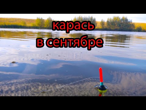 Видео: РЫБАЛКА НА КАРАСЯ в сентябре + БОНУСЫ