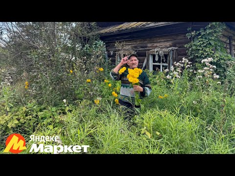 Видео: Любовь и голуби в тайге / Яндекс маркет