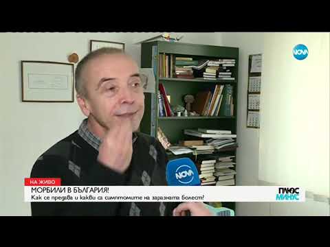Видео: МОРБИЛИ В БЪЛГАРИЯ: Как се предава и какви са симптомите на болестта? - Плюс-Минус (14.02.2019)
