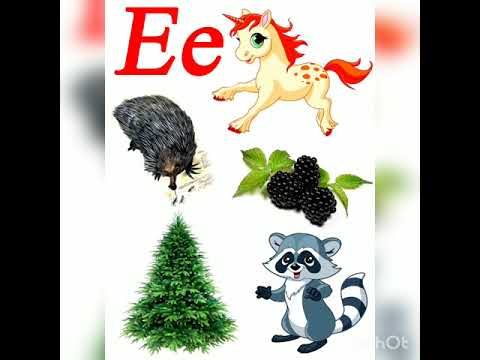 Видео: Буква Е. Звук [йэ]
