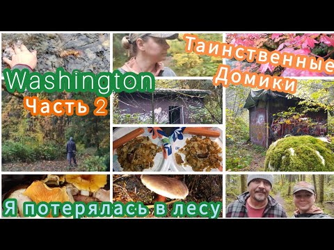 Видео: ТАИНСТВЕННЫЕ ДОМИКИ - ТУТ ЧТО-ТО ПРОИЗОШЛО/ ПРОГУЛКА С ПОЛЬЗОЙ / Я ПОТЕРЯЛАСЬ 😂