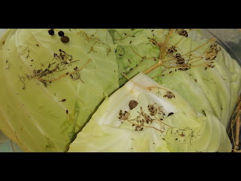 Видео: Կաղամբի #թթվի ամենահեշտ տարբերակը  #капустамаринованная кусочками #salted cabbage