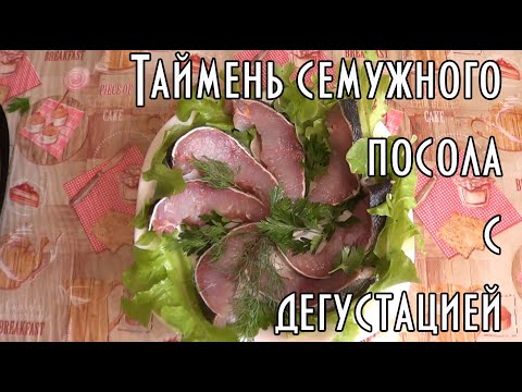 Видео: Таймень семужного посола с дегустацией