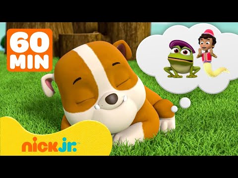 Видео: Щенячий патруль | Самые смешные сны Крепыша! 🐾 С Маршаллом и Гонщиком | 1 час | Nick Jr. Cyrillic