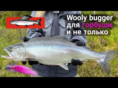 Видео: Лучшая мушка на Горбушу - Wooly bugger