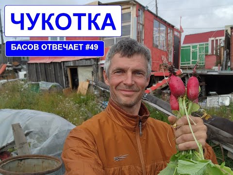 Видео: Чукотка. Басов отвечает #49
