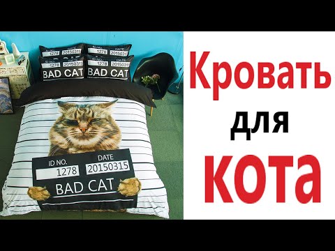 Видео: Приколы! КРОВАТЬ ДЛЯ КОТА - МЕМЫ!!! Смешные видео от – Доми шоу!