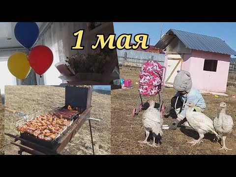 Видео: Индюки. 1 мая.