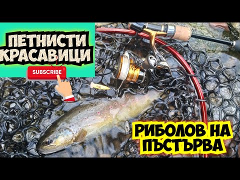 Видео: Петнисти красавици - Риболов на пъстърва - Trout fishing