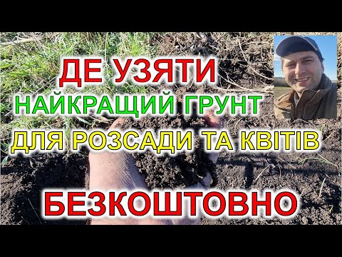 Видео: Де узяти найкращий грунт для розсади та квітів