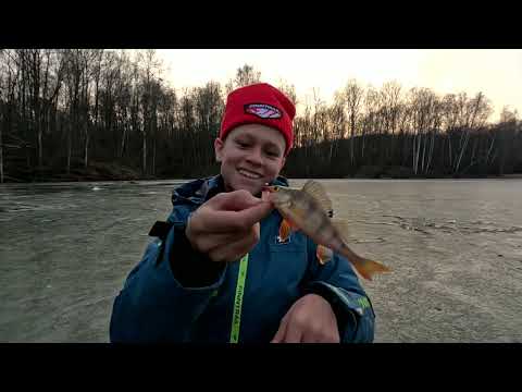 Видео: ВОТ ЭТО ТРОФЕИ. Рыбалка по последнему льду. #рыбалка #трофей #зимняя #квадроцикл