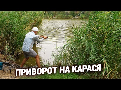 Видео: Карась на поплавок. Рибалка для всіх
