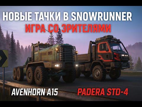 Видео: НОВЫЕ ТАЧКИ/!ДОНАТ/!ТГ/!ДС