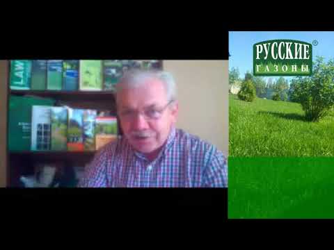Видео: Ответы на вопросы об уходе за газоном  Часть II