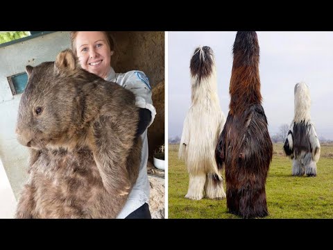 Видео: Фото, которые тебя удивят (Часть 4)