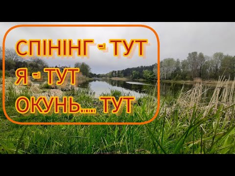 Видео: Риболовля в місті Черкаси: на полюванні за окунем в Дахнівському каналі міста.