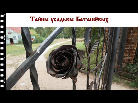 Видео: Гусь железный и загадочный