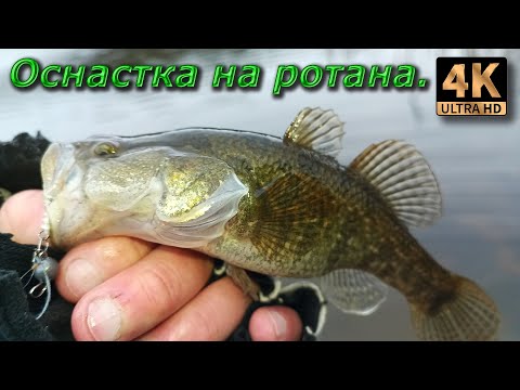 Видео: Ротаны на микроджиг и дропшот. Оснастка на ротана.