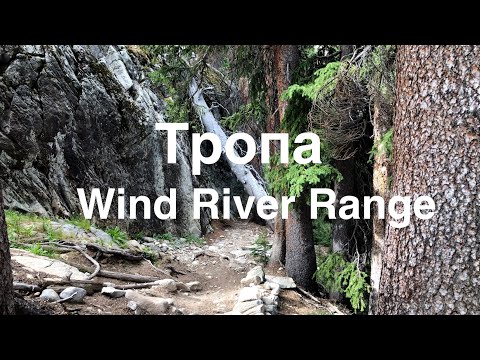 Видео: Тропа в горах | Атмосферная прогулка без слов
