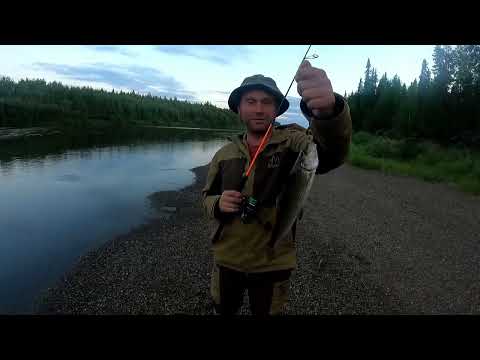Видео: Рыбалка на хариуса в Республике Коми