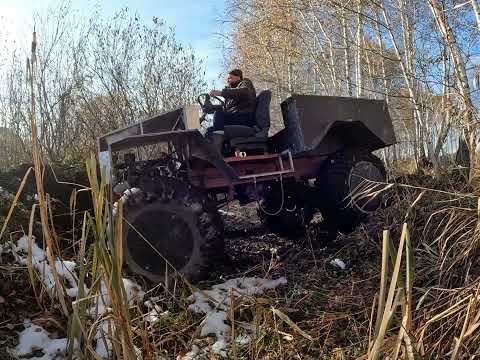 Видео: 5 ноября 2025 г.