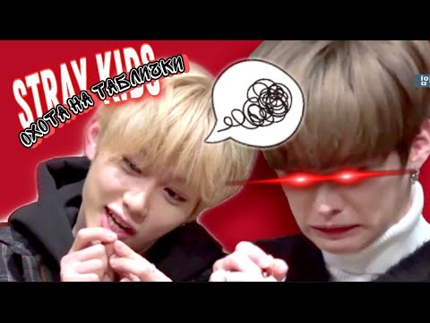 Видео: stray kids охотятся на стрэй кидс
