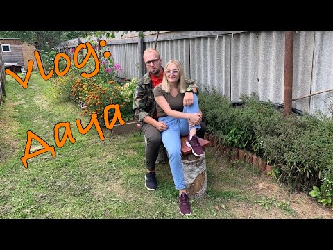 Видео: Покупка дачи, обзор 🏠 🌳
