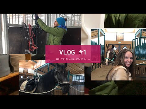 Видео: VLOG #1 | ШЁЛ ТРЕТИЙ ДЕНЬ КАРАНТИНА...