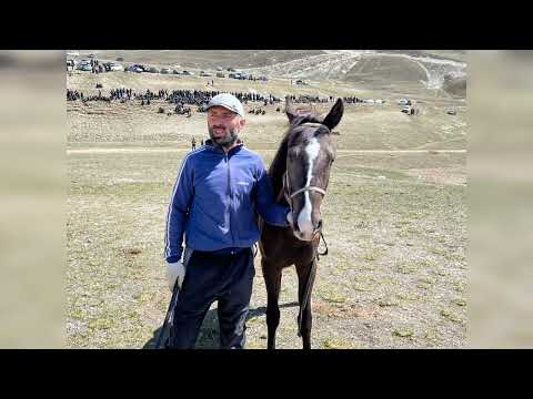 Видео: Видео,фото репортаж с Риквани от разнЫх источников.27.04.2023