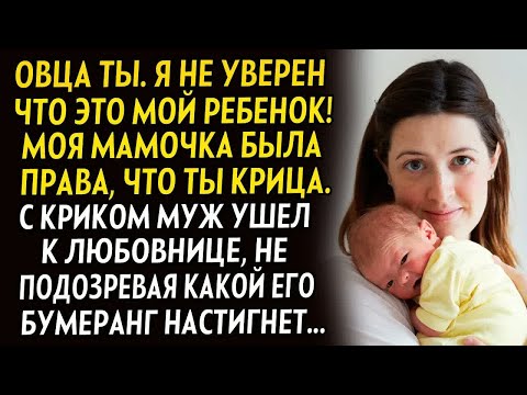Видео: 💗Овца ты. Я не уверен что это мой ребёнок С криком муже ушел к любовнице, не подозревая что его ждет