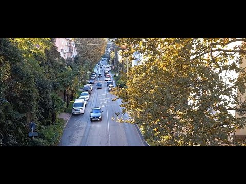 Видео: Любимая Хоста. Улица 50 лет СССР