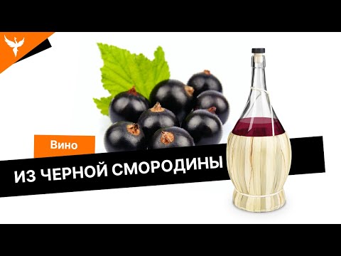 Видео: Вино из черной смородины