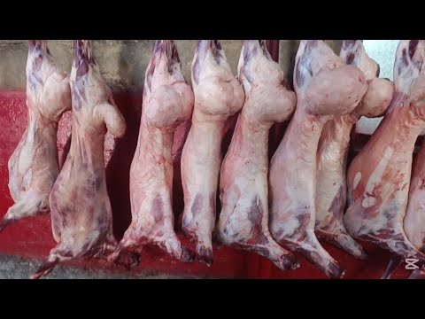 Видео: АЗЫК Түлүк баалары Бишкек Ош базар 12-СЕНТЯБРЬ 2025ж
