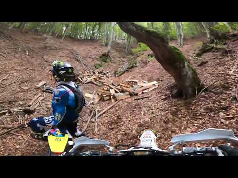 Видео: 29.09.2024 г.