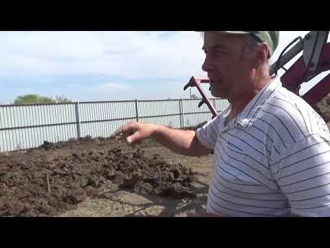 Видео: Садим вишню . Акулья пасть капает грядки.