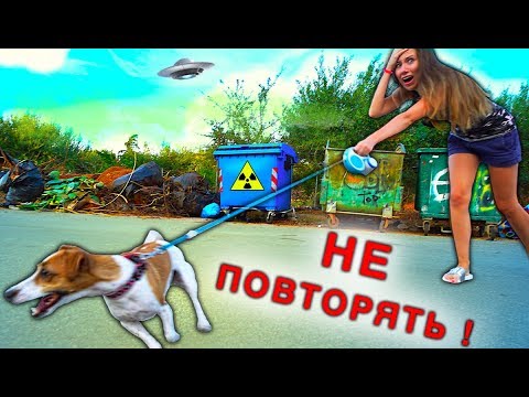 Видео: Мной управляет Собака Джина выгуливает меня Играем Крит | Elli Di Pets