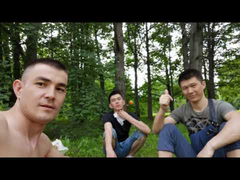 Видео: достор 2 #сары-колот #96ЛАР #МОСКВА