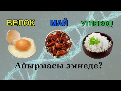 Видео: Белок, Май, Углевод жөнүндө билип ал!