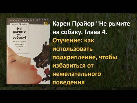 Видео: 242 Карен  Прайор "Не рычите на собаку. Глава 4. Отучение"