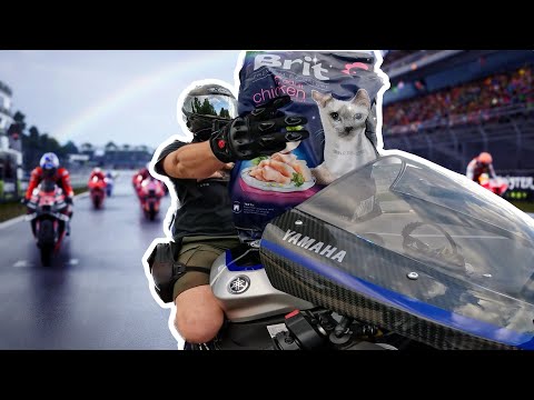 Видео: САМАЯ БЫСТРАЯ ДОСТАВКА КОШАЧЕГО КОРМА!